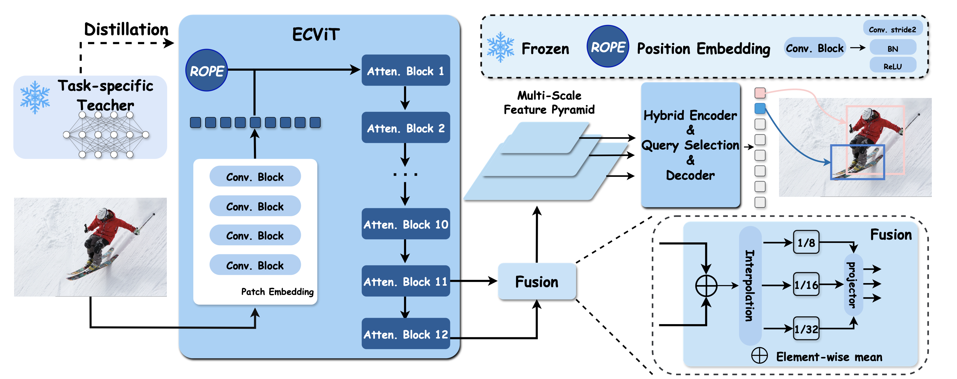 EdgeCrafter: Compact ViTs for Edge Dense Prediction via Task-Specialized Distillation