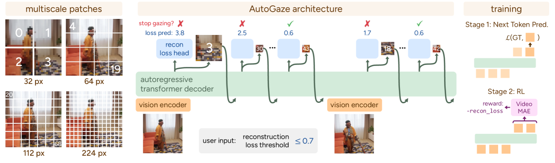 图2: AutoGaze架构和训练流程
