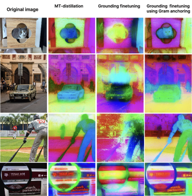 图3 Gram anchoring 保护空间结构